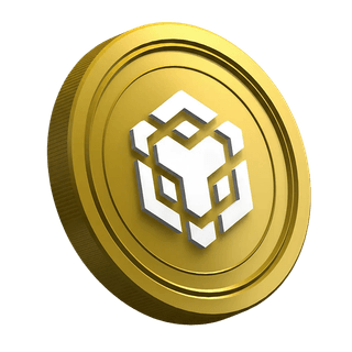 Yeni yatırımcı kılavuzu sayfasında yer alan Binance BNB kripto para coini